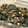 hama♪♪♪'s cooksnap of when they made ほうれん草とひじきのツナコーンごまマヨ.