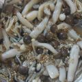 ちづミニー's cooksnap of when they made レンジで２分♪簡単しめじのポン酢和え.