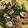 クックHDP0M2☆'s cooksnap of when they made ピーマンとちくわの炒め物.