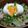who‐ka's cooksnap of when they made 生姜いりつゆだく豚丼.