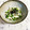 ナピト's cooksnap of when they made 長いもとオクラの和えもの＊わさび風味.