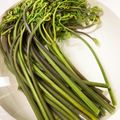 もりった's cooksnap of when they made 重曹不要簡単★わらびの灰汁抜き★（覚書）.