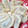 Ocean_ray's cooksnap of when they made ＊ちょこっと可愛い＊餃子の包み方.