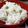 ひっこ's cooksnap of when they made 関西はうすいえんどう豆の豆ご飯.