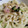 ともんがちゃん's cooksnap of when they made ほうれん草とベーコンの焼うどん.