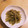 ラリー＆サラ's cooksnap of when they made めんつゆで簡単★ふきとツナの炒め煮.