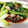 クック05TB1E☆'s cooksnap of when they made 牡蠣と小松菜のオイスターソース炒め.