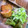☆あさ's cooksnap of when they made 衣さくさく♪とろけるサーモンのレアカツ.