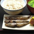 クックDAD's cooksnap of when they made 脂のりのり！自家製干物めひかりの丸干し.