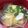 伊達こまち's cooksnap of when they made 絹ごし豆腐ともやしのコンソメスープ.
