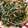 kzr孤鳩's cooksnap of when they made すぐできる☆もやしとニラの塩昆布炒め.