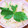 kaori238's cooksnap of when they made ☆あさりの炊き込みご飯☆.