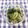 ﾁｲﾁｬﾝﾏﾏ's cooksnap of when they made めかぶとわかめの酢玉ねぎ和え♪.