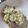 mocavara's cooksnap of when they made 鶏もものネギ塩炒め.