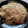 秀狼1011's cooksnap of when they made オートミールで！ダシ香る海鮮お好み焼き.