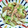 きゃんでぃ×2's cooksnap of when they made 舞茸とレタスのオイスターソース炒め.