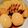 ミーテンピー's cooksnap of when they made ル・クルーゼde豚バラチャーシュー丼.