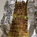 そらのぱぱ's cooksnap of when they made アスパラのグリル.