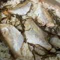 Ｏｓｓａｎ's cooksnap of when they made チダイの土鍋鯛めし.