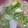 ヨッシーだなも's cooksnap of when they made ハムと卵のふわふわ中華スープ♪.