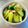 azbjbn's cooksnap of when they made きゅうりとセロリの簡単すぎる浅漬け♪♪.