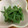 クックHDP0M2☆'s cooksnap of when they made いんげん！白胡麻和え♪.