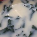 あゆたっくん's cooksnap of when they made ほうれん草と豆腐の豆乳スープ　.