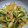 vivian1225's cooksnap of when they made 中華くらげちくわきゅうり(身内専用).