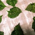 桜咲く。's cooksnap of when they made 電子レンジで♪大葉のサクッとチップス.