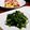 チコリママ's cooksnap of when they made ●ルッコラのニンニク炒め●.