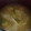 ヨシヨッシー's cooksnap of when they made あったか厚揚げと長ネギの味噌汁♪.