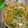 ちゃかぴまま's cooksnap of when they made 豆乳茶碗蒸し【中華風】.
