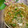 ちゃかぴまま's cooksnap of when they made 豆乳茶碗蒸し【中華風】.