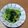 みぃくんのママ's cooksnap of when they made チンゲン菜の中華風おひたし.