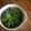みるく茶's cooksnap of when they made キャベツだけ！バリバリ！塩キャベツ.