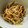 ♡mio1216♡'s cooksnap of when they made えのき茸と桜えびのきんぴら風.