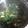 ☆みわちん's cooksnap of when they made たまごとほうれん草の中華スープ.