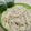 papikun's cooksnap of when they made 釜揚げうどんの出汁(ぶっかけうどんにも).