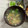かっちゃん杉's cooksnap of when they made 合格願✨蒲鉾を花びら型で抜き桜に.