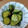 みぃくんのママ's cooksnap of when they made （学校給食）きゅうりの中華づけ.