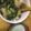 クックIK4DS8☆'s cooksnap of when they made 給食レシピ トリニータ丼♥.