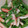 クックY81B22☆'s cooksnap of when they made レンチン！ピーマンとちくわの白だし和え.