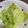 クックUW92JL☆'s cooksnap of when they made ブロッコリーの茎でザーサイもどき.