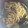 ☆lalapin☆'s cooksnap of when they made 玉ねぎだけ炒め.