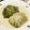 はーくんごーごー's cooksnap of when they made アカシア風ロールキャベツ。.