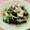 まひわ's cooksnap of when they made 手早く簡単☆みょうがとワカメの酢のもの.