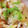 ばたみそーぱん☆'s cooksnap of when they made 貝の旨みの炊き込みごはん.