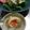 こつゆ514's cooksnap of when they made とろとろ半熟卵の天ぷら.