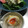 こつゆ514's cooksnap of when they made とろとろ半熟卵の天ぷら.