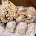 ma2kaboch's cooksnap of when they made 匂いと味が気にならないもち麦ご飯炊き方♪.